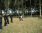 Tireurs de ball trap laser ext�rieur